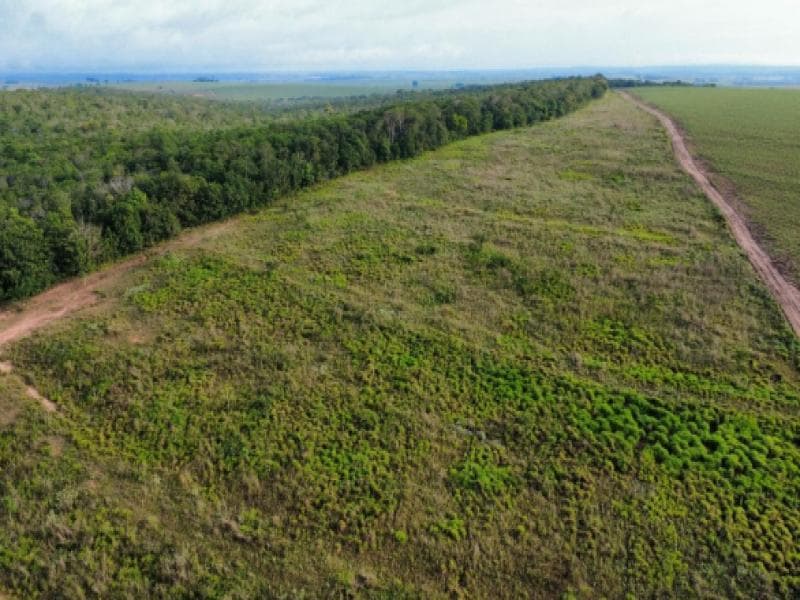 Foto 3 de 3: Area Rural em leilão em Mineiros - GO — Fazenda, 100.73 ha, Mineiros / GO