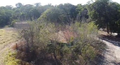 Foto 8 de 8: Area Rural em leilão em Vilhena - RO — IMÓVEL RURAL | A.T. 74,0462 HA | VILHENA/RO - LEILÃO EMPRESARIAL SISTÊMICO SICREDI