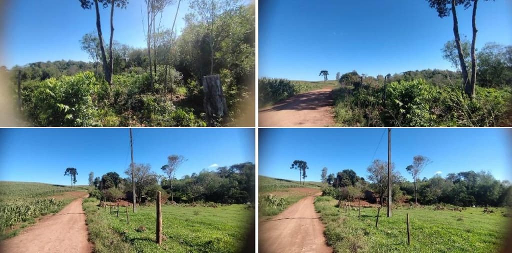 Foto 8 de 12: Area Rural em leilão em Pérola D'oeste - PR — Parte Ideal (5%) Lote Rural com A.T. 84.000m², Município de Pérola DOeste/PR