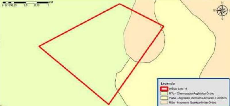 Foto 3 de 7: Area Rural em leilão em Pontes E Lacerda - MT — Imóvel Rural, 290,400 hectares