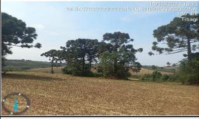 Foto 10 de 10: Area Rural em leilão em Tibagi - PR — IMÓVEL RURAL | A.T. 48,1194HA FAZ. ARAGUARI (AGRICULTURA) | TIBAGI/PR