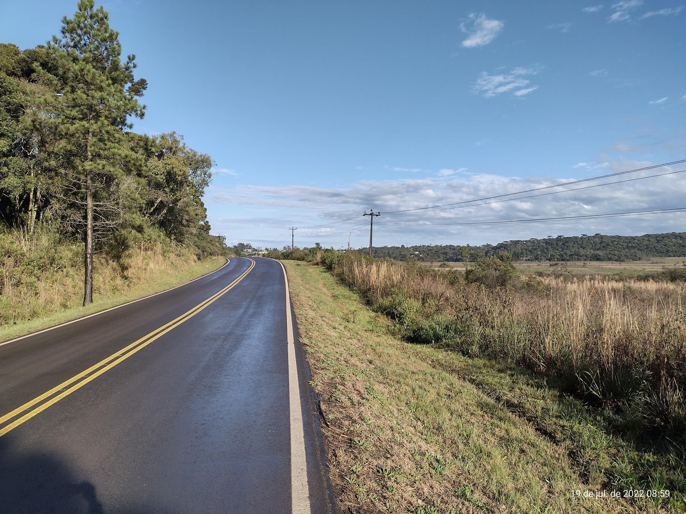 Foto 30 de 50: Terreno em leilão em Irati - PR — Terreno rural com área de 74.282,70m², Irati/PR