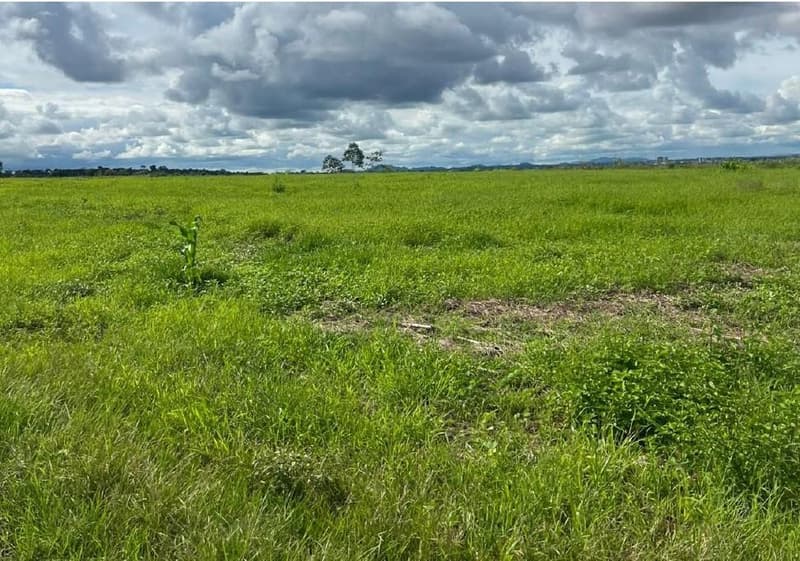 Foto 2 de 7: Area Rural em leilão em Cacoal - RO — IMÓVEL RURAL | 48,4754 HA GLEBA SETOR PROSPERIDADE | CACOAL/RO
