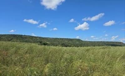 Area Rural em leilão em Paranatinga - MT — IMÓVEL RURAL | A.T. 150,006 HA FAZ. SANTO ANTÔNIO I | PARANATINGA/MT