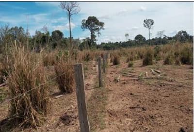 Foto 6 de 6: Area Rural em leilão em Apiacás - MT — IMÓVEL RURAL - 98,614HA - ESTÂNCIA SOUZA III EM APIACÁS/MT - EXPLORAÇÃO AGROPECUÁRIA COM BENFEITORIAS