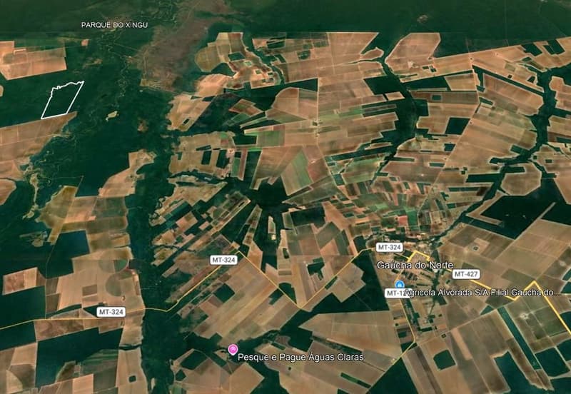 Foto 3 de 4: Area Rural em leilão em Gaúcha Do Norte - MT — Fazenda Rancho Alegre 501ha | Gaúcha do Norte-MT |Próxima ao Ribeirão Kevualeli