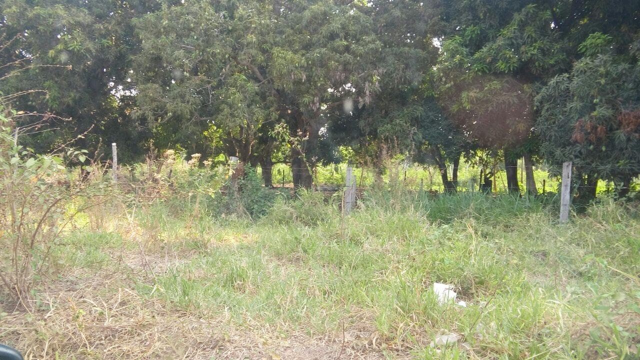 Foto 6 de 18: Terreno em leilão em Cáceres - MT — Terreno com 9.987m², Desocupado no Panorama em Cáceres/MT
