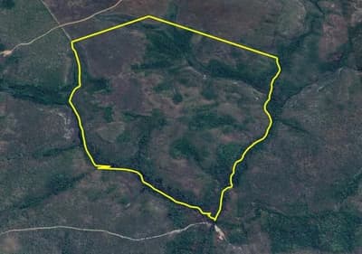 Foto 6 de 8: Area Rural em leilão em Rio Sono - TO — FAZENDA SANTA RITA DE CÁSSIA