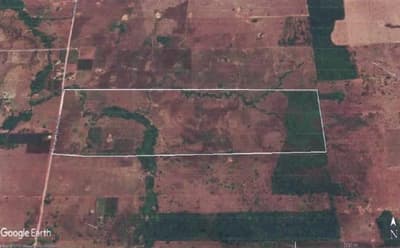 Foto 5 de 7: Area Rural em leilão em Novo Horizonte Do Oeste - RO — IMÓVEL RURAL AT. 85,3452HA, GLEBA BOM PRINCÍPIO EM NOVO HORIZONTE D'OESTE-RO