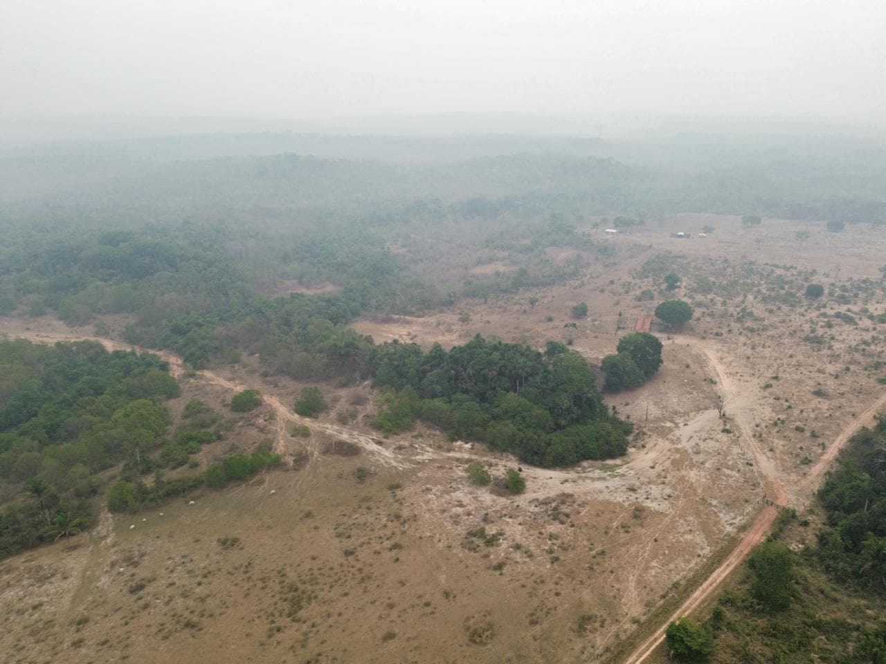 Foto 15 de 20: Area Rural em leilão em Pimenta Bueno - RO — IMÓVEL RURAL | A. T. 63,4635 HA | PIMENTA BUENO/RO - LEILÃO EMPRESARIAL SISTÊMICO SICREDI