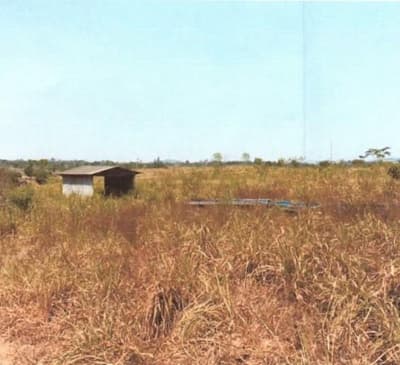 Foto 4 de 7: Area Rural em leilão em São Miguel Do Guaporé - RO — IMÓVEL RURAL PARA AGRICULTURA AT. 24,7549HA, SÍTIO ESPERANÇA EM SÃO MIGUEL DO GUAPORÉ-RO