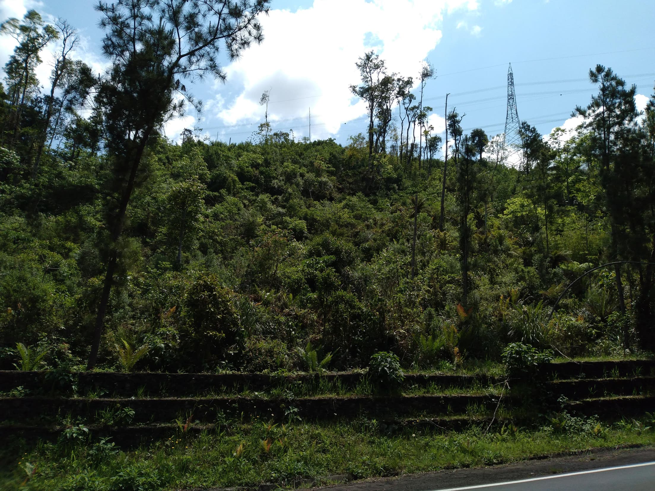 Foto 13 de 14: Terreno em leilão em Pinhão - PR — Terreno Rural 279.900m² Desocupado em Pinhão/PR