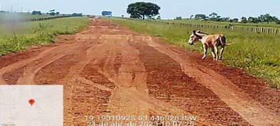 Foto 5 de 12: Area Rural em leilão em Camapuã - MS — 33,33% DO IMÓVEL MAT Nº 24.710 DE CAMAPUÃ/MS