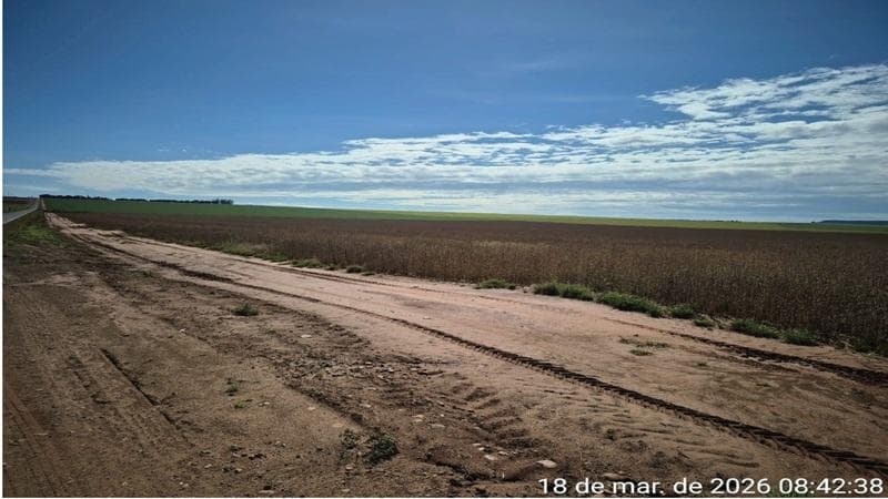 Foto 9 de 30: Area Rural em leilão em Paraíso Das Águas - MS — IMÓVEL RURAL | 400 HA (FRAÇÃO IDEAL) - FAZ. LOTE BAÚS PERDIDO I SECÇÃO B | PLANTIO PARA SOJA E MILHO | PARAÍSO DAS ÁGUAS/MS
