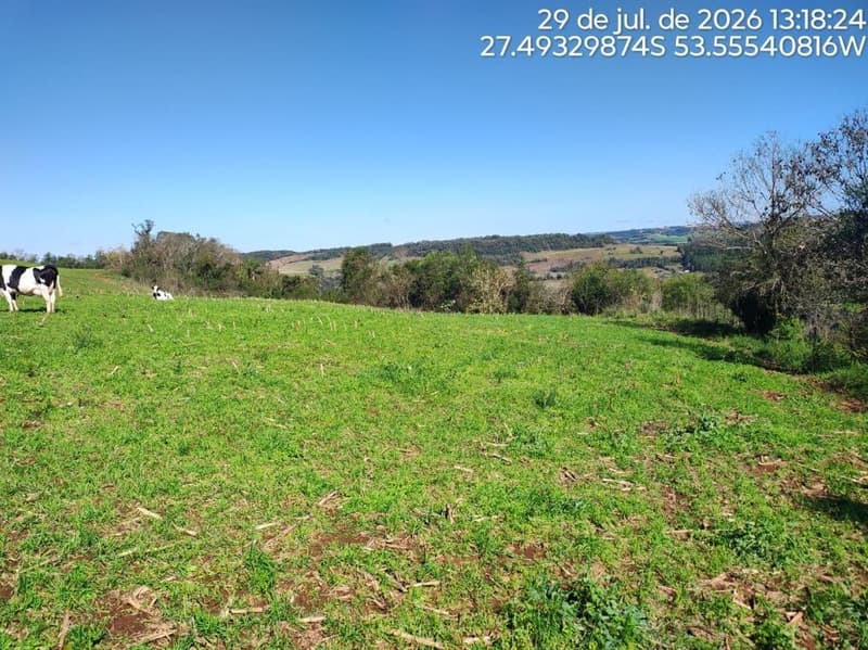 Foto 12 de 16: Terreno em leilão em Erval Seco - RS, bairro Interior — IMÓVEL RURAL COM ÁREA DE de 107.819,20 m2, EM ERVAL SECO/RS