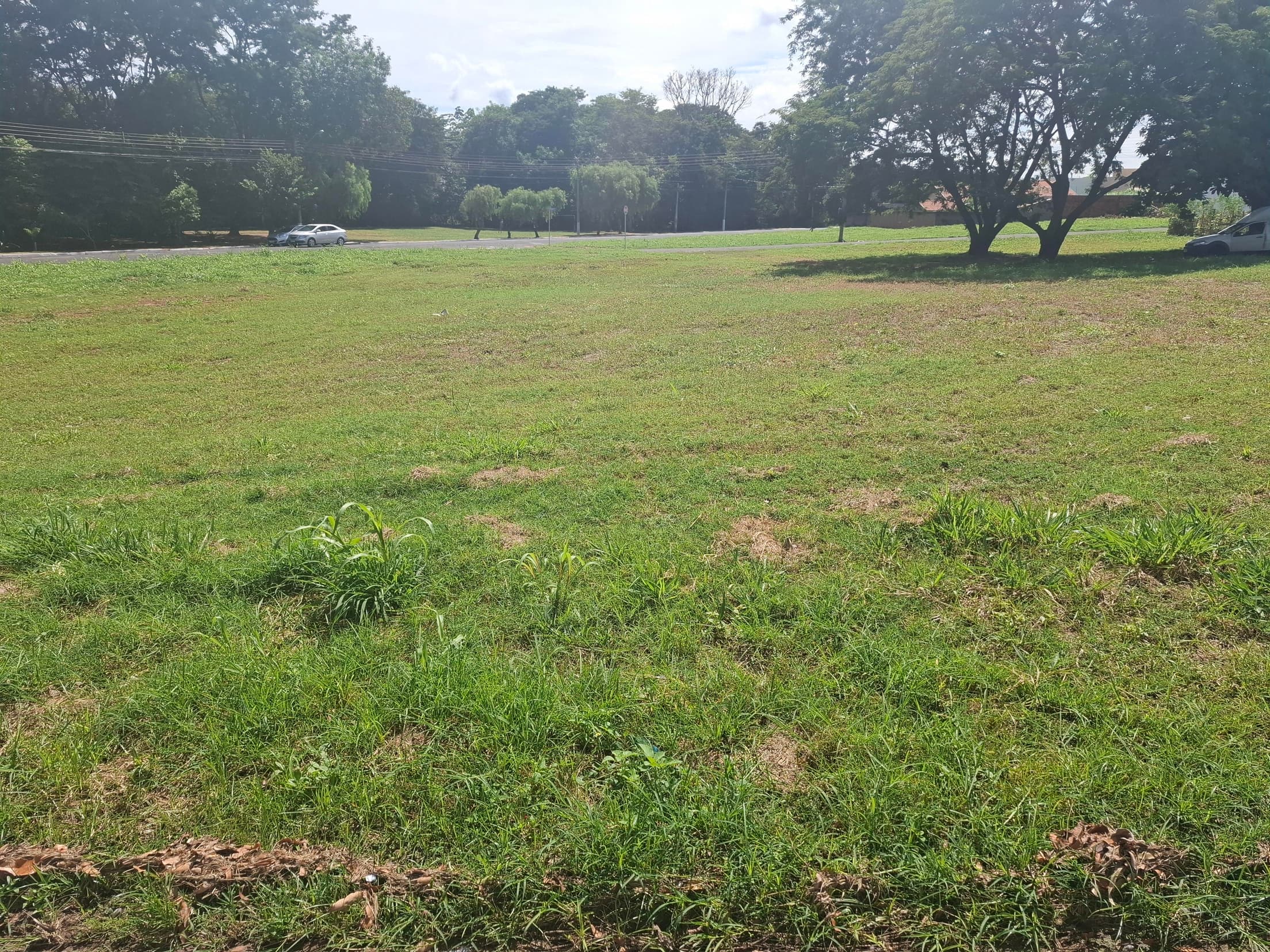 Foto 5 de 6: Terreno em leilão em Mirassol - SP — TERRENO LOCALIZADO NA RUA BRAZ LOPES COM ÁREA DE 306m², RESIDENCIAL CELINA DALUL, | MIRASSOLSP Nº 26.013