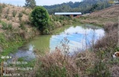 Foto 10 de 15: Terreno em leilão em Vidal Ramos - SC, bairro Área Rural — IMÓVEL RURARL COM ÁREA TOTAL DE 13.000 ha,- Em VIDAL RAMOS/SC