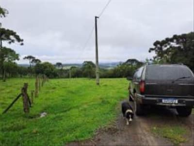 Foto 2 de 24: Area Rural em leilão em Correia Pinto - SC — IMÓVEL RURAL COM ÁREA TOTAL DE 122.223m² - CORREIA PINTO/SC