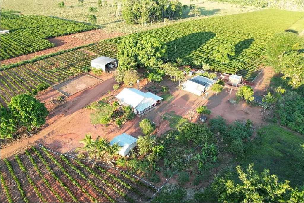 Foto 4 de 5: Area Rural em leilão em Alta Floresta D'oeste - RO — IMÓVEL RURAL | 22,93618 HA - SÍTIO SÃO FRANCISCO - SETOR PARECIS | ALTA FLORESTA D'OESTE/RO