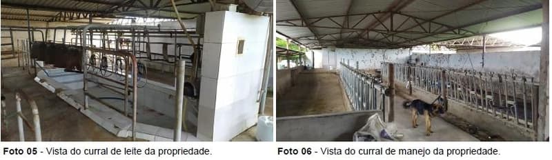 Foto 5 de 10: Area Rural em leilão em Luís Eduardo Magalhães - BA — IMÓVEL RURAL | 25,00 HA - CHÁCARA SÃO JOÃO | LUIS EDUARDO MAGALHÃES/BA