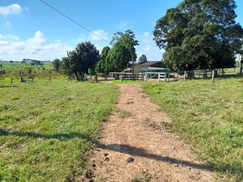 Area Rural em leilão em Alta Floresta D'oeste - RO — IMÓVEL RURAL | 38,6851 HA | SETOR XIPINGAL, P.A. AGUINEL DIVINO EM ALTA FLORESTA D OESTE/RO - COD. 754070