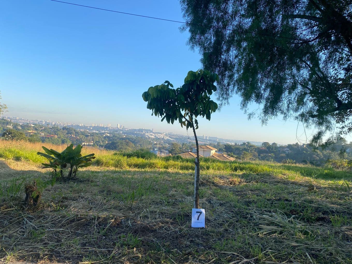 Foto 1 de 2: Terreno em leilão em Indaiatuba - SP — Terreno com área de 3.050m², sem benfeitorias, Rua Antônio Costola, nº 291, Loteamento Terras de Itaici, Indaiatuba/SP