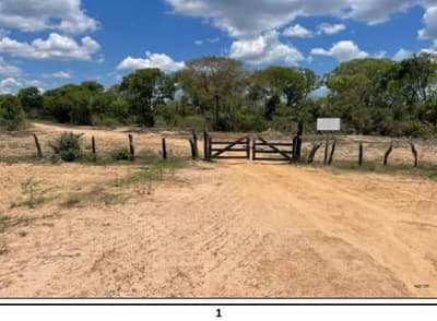 Foto 1 de 16: Area Rural em leilão em Barão De Melgaço - MT — Imóvel rural denominado Fazenda Baia São Benedito (antiga Baia das Pombas- com área de 13.000,00 hectares.