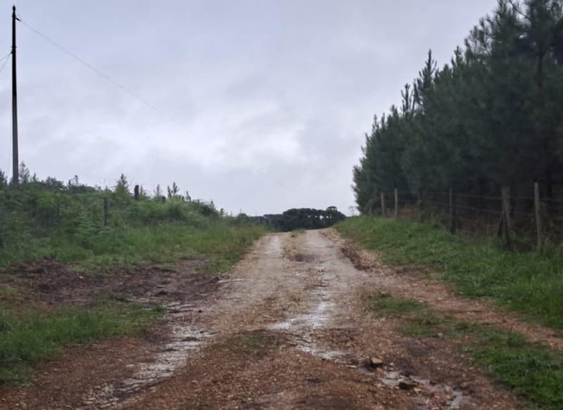 Foto 25 de 25: Area Rural em leilão em Correia Pinto - SC — IMÓVEL RURAL COM ÁREA TOTAL DE 121.000M² - CORREIA PINTO/SC