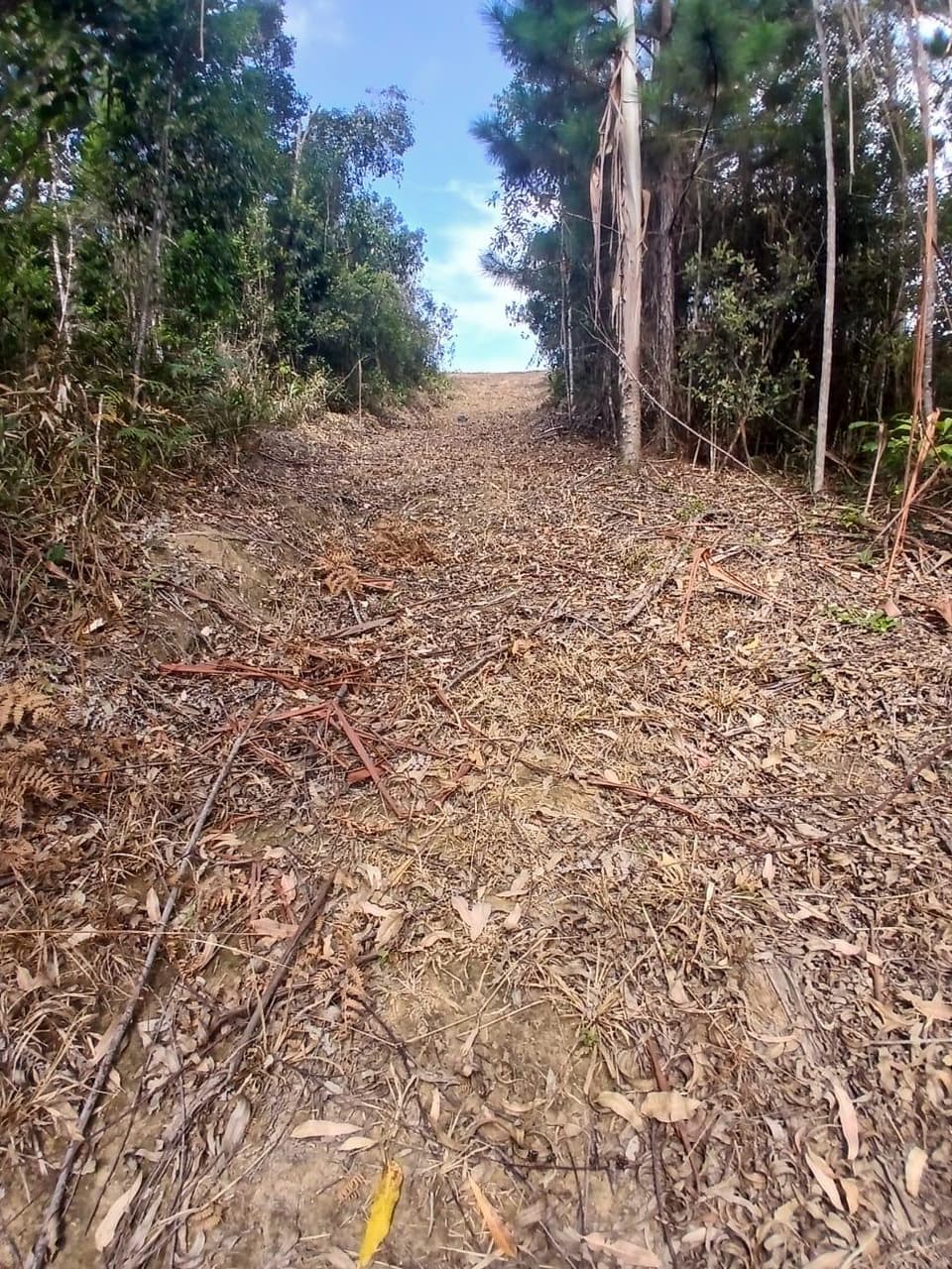 Foto 13 de 18: Area Rural em leilão em Anitápolis - SC — IMÓVEL RURAL COM ÁREA TOTAL DE 30.704,71m². EM ANITÁPOLIS-SC