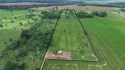 Foto 3 de 11: Area Rural em leilão em São Miguel Do Guaporé - RO — IMÓVEL RURAL - SÍTIO DOIS IRMÃOS DE 12,0919HA - SÃO MIGUEL DO GUAPORÉ/RO