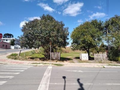 Foto 1 de 2: Terreno em leilão em Mafra - SC, bairro Jardim América — Lote, A.T. 350m², Esquina, Jardim América