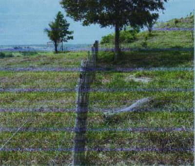Foto 5 de 8: Area Rural em leilão em Corumbiara - RO — IMÓVEL RURAL | A.T. 27.2712 HA (VERDE SERINGAL) | CORUMBIARA/RO
