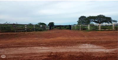 Foto 1 de 9: Area Rural em leilão em Nova Bandeirantes - MT — IMÓVEL RURAL Sítio L & B | A.T. 36,30 HA | NOVA BANDEIRANTES /MT