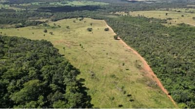 Foto 5 de 6: Area Rural em leilão em Costa Rica - MS — 50% DA PARTE IDEAL DO EXECUTADO SOB IMÓVEL DA MATRÍCULA 21.296 DO REGISTRO DE IMÓVEIS DE COSTA RICA/MS