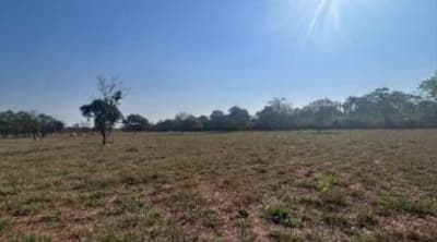 Foto 4 de 19: Area Rural em leilão em Sidrolândia - MS — IMÓVEL RURAL COM ÁREA TOTAL DE 6,98480 hectares EM SIDROLÂNDIA-MS