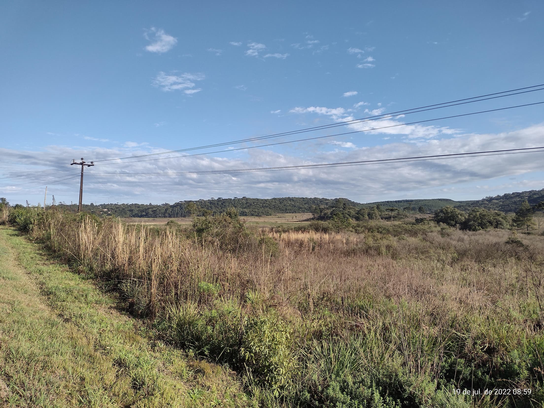 Foto 28 de 50: Terreno em leilão em Irati - PR — Terreno rural com área de 74.282,70m², Irati/PR