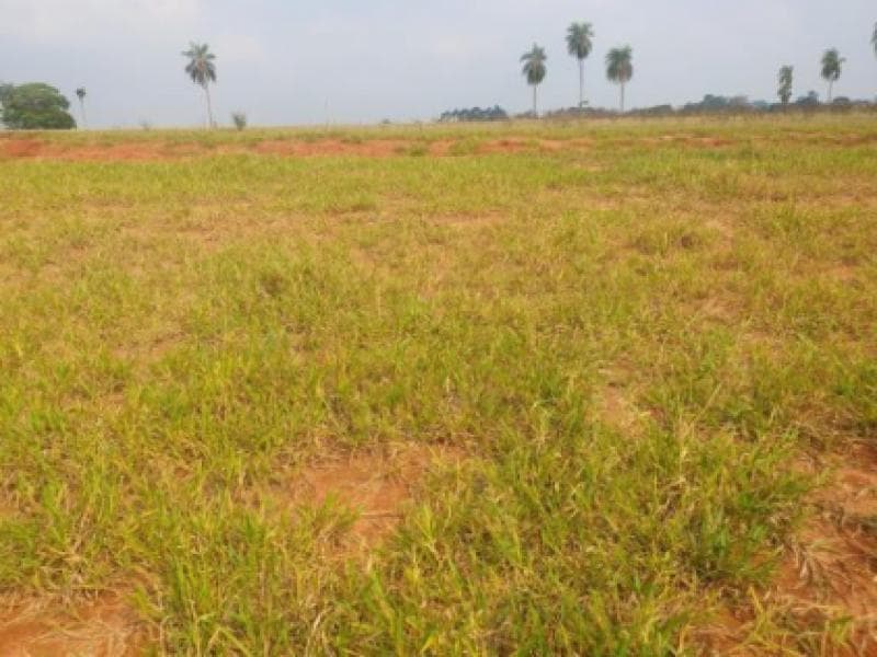 Foto 2 de 3: Terreno em leilão em Marília - SP, bairro Jardim Botânico I — Lote, Marília / SP
