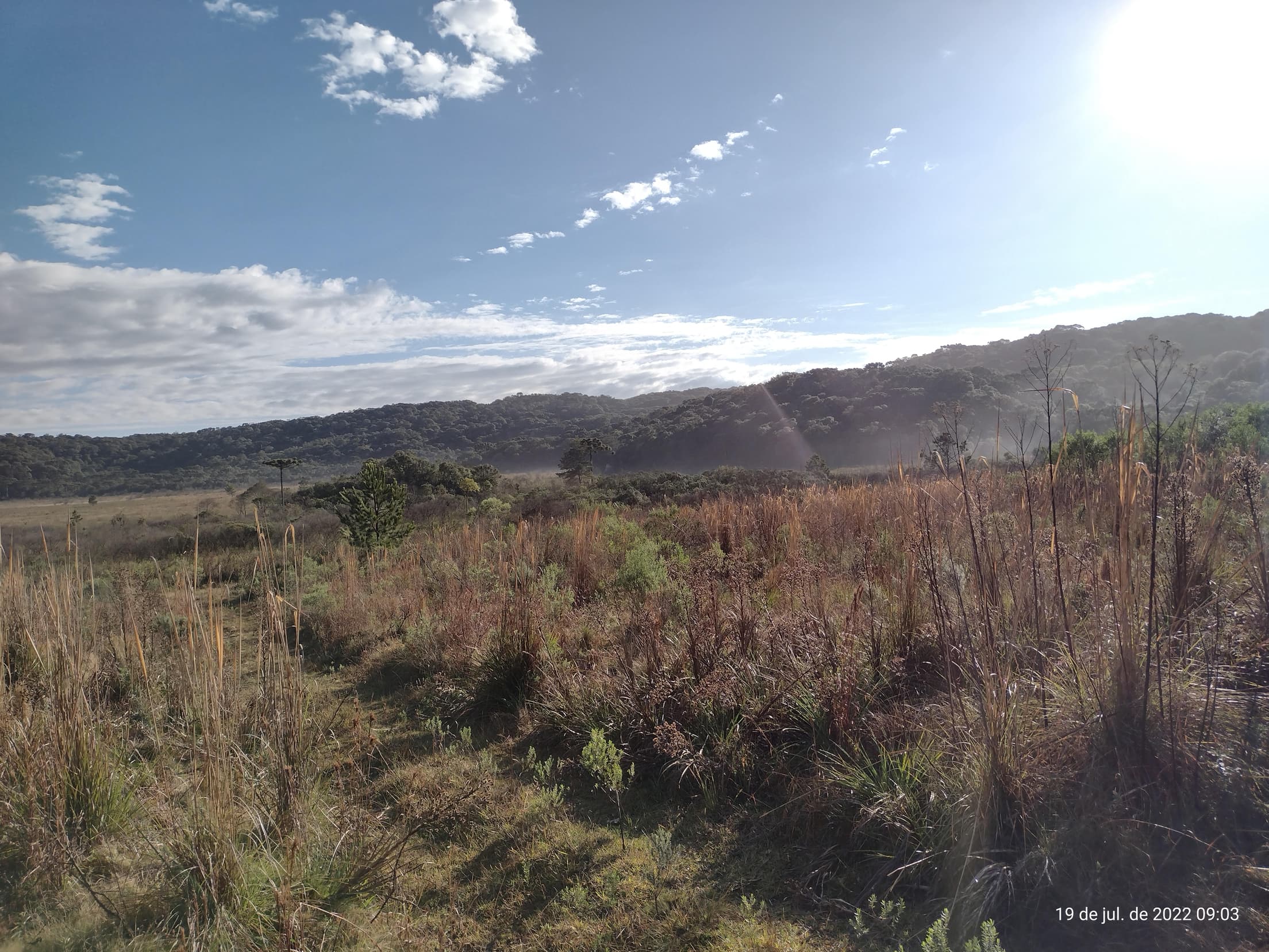 Foto 39 de 50: Terreno em leilão em Irati - PR — Terreno rural com área de 74.282,70m², Irati/PR