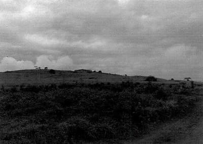 Foto 1 de 2: Area Rural em leilão em Nova Monte Verde - MT — FAZENDA 4.000 Ha | Nova Monte Verde-MT