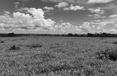 Foto 13 de 21: Terreno em leilão em Pimenta Bueno - RO — Fração ideal de 1,1% lotes de terras rural n. 82 e 92 com área total de 3.676,0340ha, Pimenta Bueno/RO
