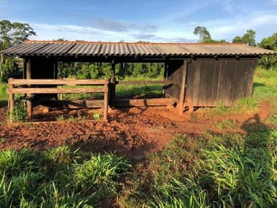 Foto 5 de 5: Area Rural em leilão em Alta Floresta D'oeste - RO, bairro Rio Branco — IMÓVEL RURAL | A.T. 51,1094 HA | SETOR RIO BRANCO - SÍTIO NOSSA SENHORA APARECIDA | ALTA FLORESTA DO OESTE/RO