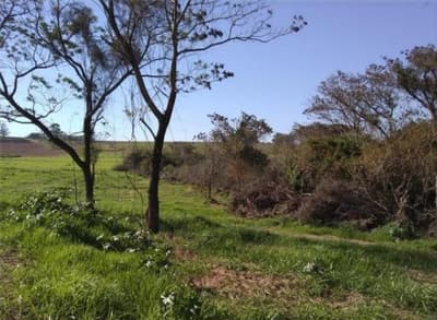 Foto 7 de 10: Area Rural em leilão em Nova Esperança - PR — IMÓVEL RURAL COM ÁREA TOTAL DE 30.548,00 m2 EM NOVA ESPERANÇA-PR