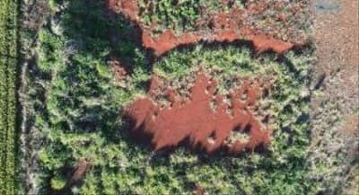 Foto 3 de 4: Terreno em leilão em Espigão Alto Do Iguaçu - PR — IMÓVEL URBANO COM ÁREA TOTAL DE 319,80m² EM ESPIGÃO ALTO DO IGUAÇU-PR.