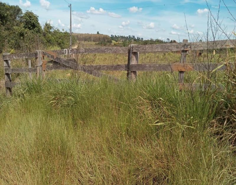 Foto 1 de 6: Area Rural em leilão em Apiacás - MT — IMÓVEL RURAL - 98,614HA - ESTÂNCIA SOUZA III EM APIACÁS/MT - EXPLORAÇÃO AGROPECUÁRIA COM BENFEITORIAS