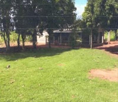 Foto 6 de 7: Area Rural em leilão em Novo Horizonte Do Oeste - RO — IMÓVEL RURAL AT. 85,3452HA, GLEBA BOM PRINCÍPIO EM NOVO HORIZONTE D'OESTE-RO