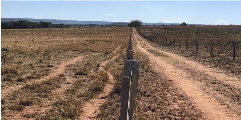 Foto 9 de 11: Area Rural em leilão em Poxoréu - MT — IMÓVEL RURAL | 54,00 HA PECUÁRIA | ESTÂNCIA 2 IRMÃOS, POXORÉU/MT