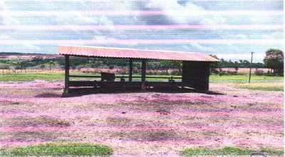 Foto 4 de 7: Area Rural em leilão em Colorado Do Oeste - RO — IMÓVEL RURAL - A.T. 16,94HA LOTE 66/A DA GLEBA 48 | COLORADO DO OESTE/RO
