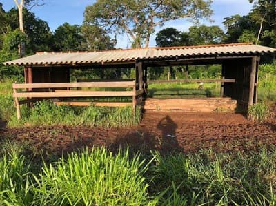 Foto 1 de 5: Area Rural em leilão em Alta Floresta D'oeste - RO, bairro Rio Branco — IMÓVEL RURAL | A.T. 51,1094 HA | SETOR RIO BRANCO - SÍTIO NOSSA SENHORA APARECIDA | ALTA FLORESTA DO OESTE/RO