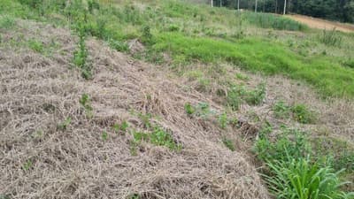 Foto 4 de 5: Terreno em leilão em Saudades - SC, bairro Saudades — LOTE URBANO Nº 07, DA QUADRA Nº 122, LOCALIZADO EM SAUDADES/SC ÁREA DE 360M²