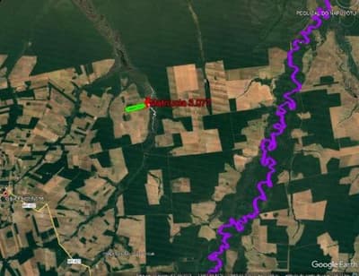Foto 3 de 3: Area Rural em leilão em Gaúcha Do Norte - MT — Imóvel rural com área de 145,20 hectares e benfeitorias, localizado no Município de Gaúcha do Norte-MT